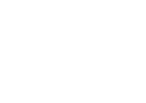 LOGO Salon Vins & Terroirs BLANC