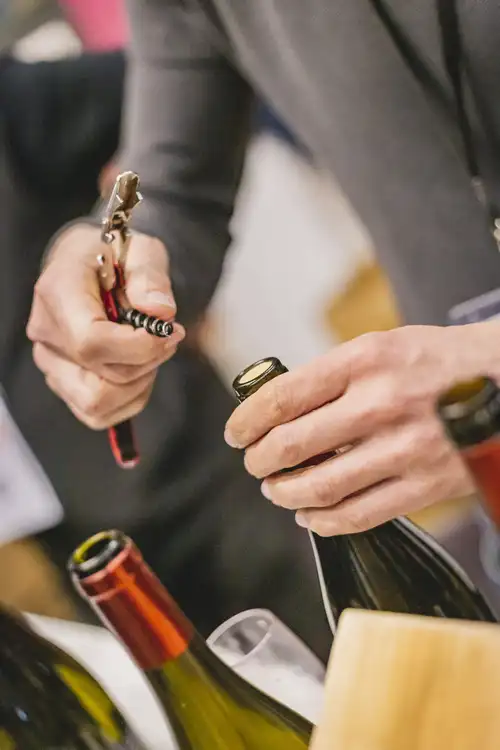 Atelier dégustation de vins