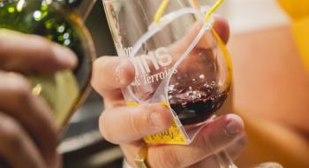 Ambiance Salon Vins & Terroirs de Printemps 2025 MEETT Toulouse Parc expo, Centre de Convention et de Congrès 