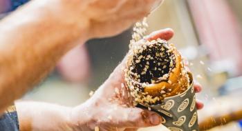 Salon Vins & Terroirs de Printemps 2025 MEETT Toulouse Parc expo, Centre de Convention et de Congrès 